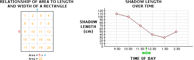 Bar graph and circle graph example