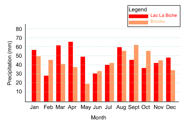 Double Bar Graph